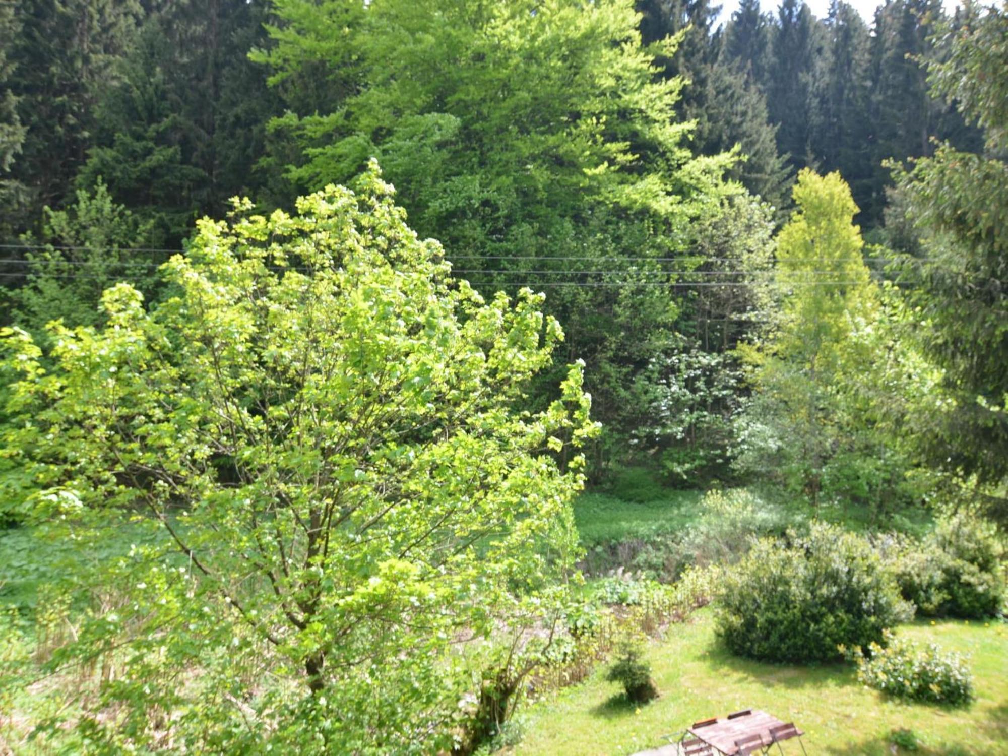 Apartment Thuringian Forest With Balcony Giessubel Exterior photo
